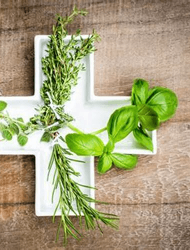 Pós Graduação em Fitoterapia e Plantas Medicinais